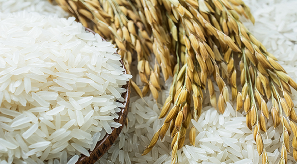 beras berkualitas