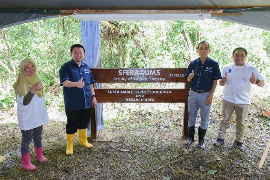 UMS 