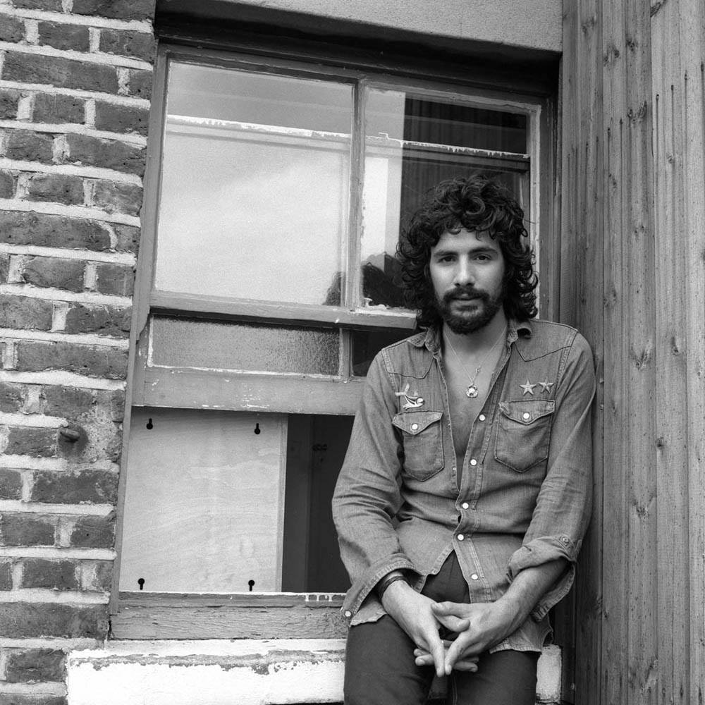 cat stevens