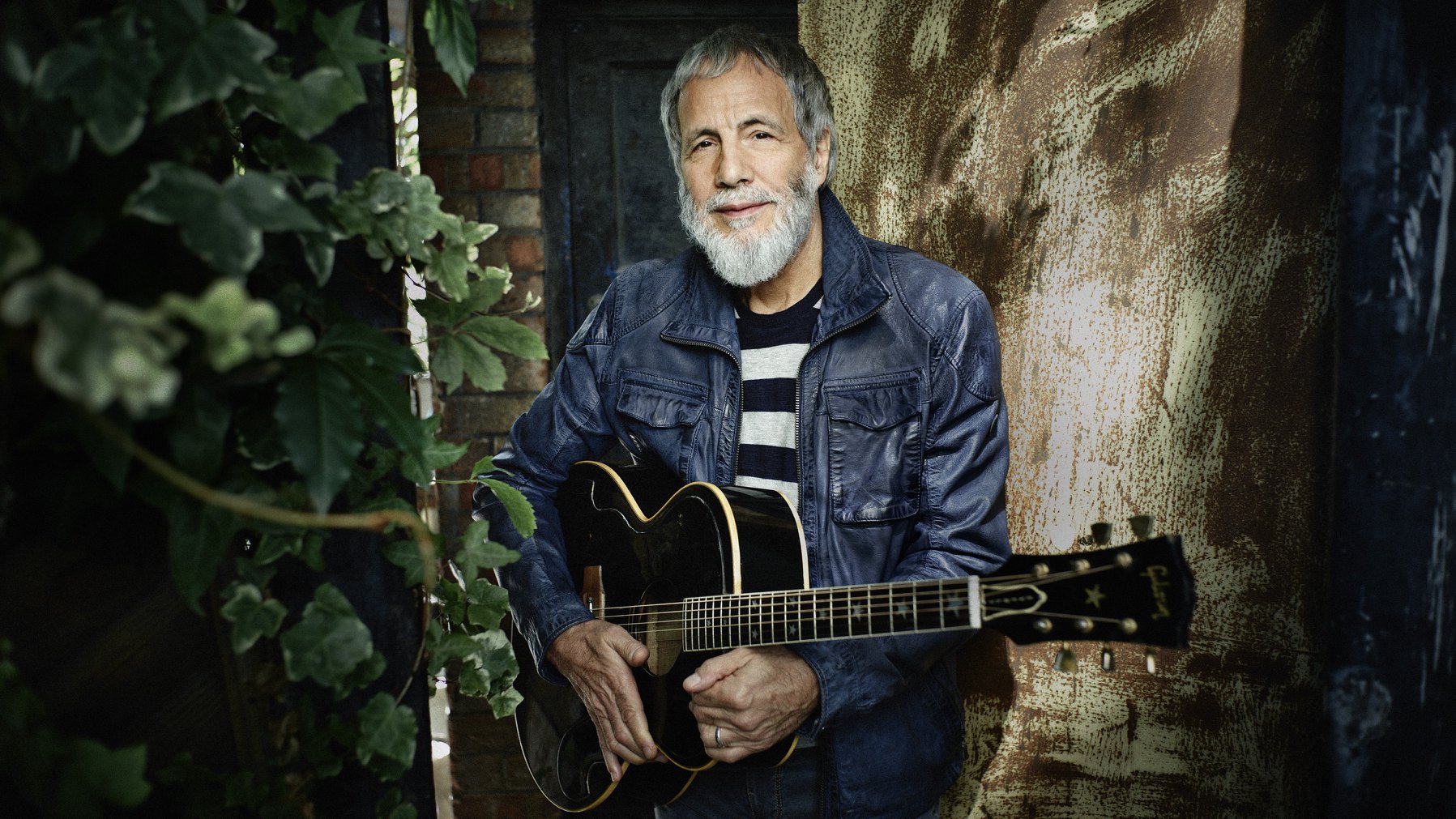 cat stevens
