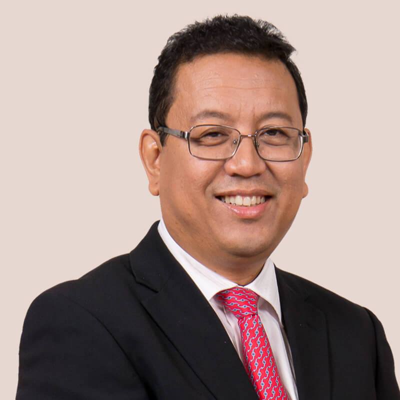 Tan Sri Nik Norzrul Thani Nik Hassan Thani