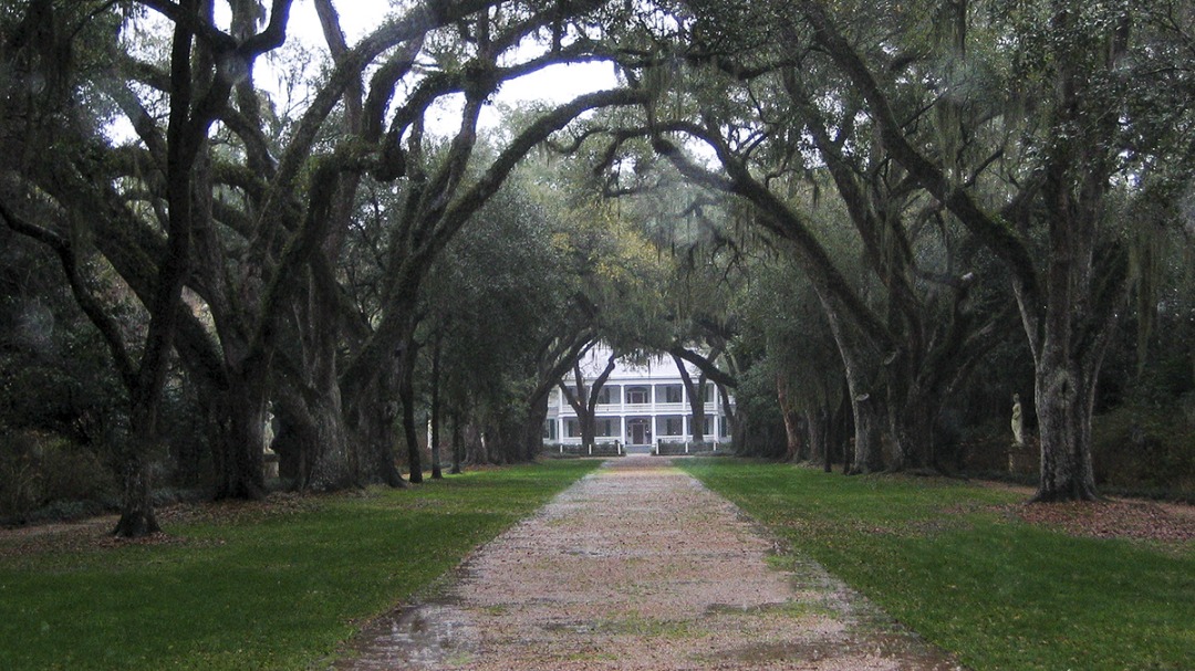 Rosedown Plantation