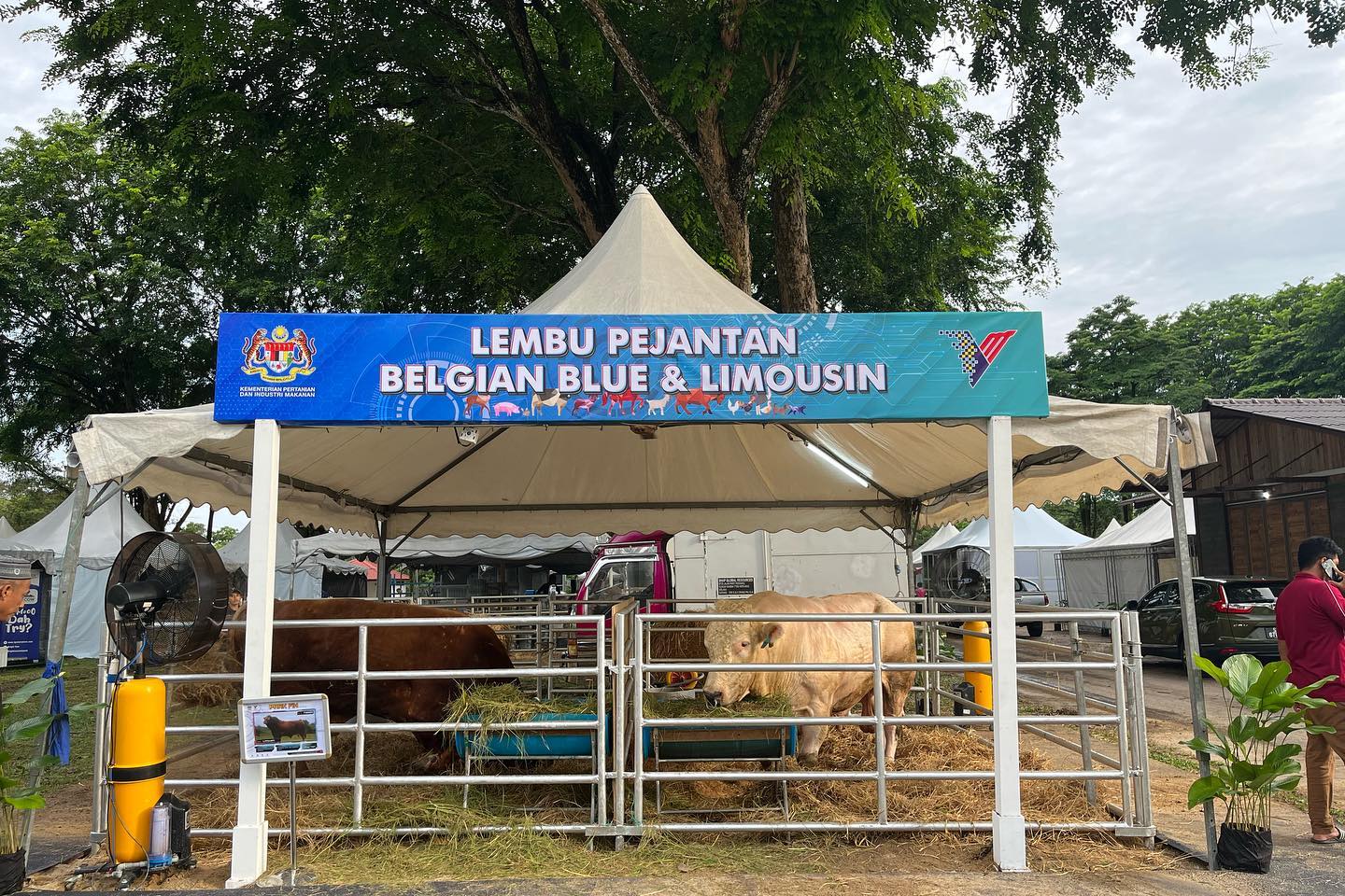 maha
