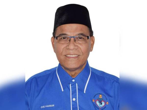 Presiden Persatuan Pengguna Melayu Malaysia (DPMM), Leftenan Kolonel (B) Che Hassan Che Johan