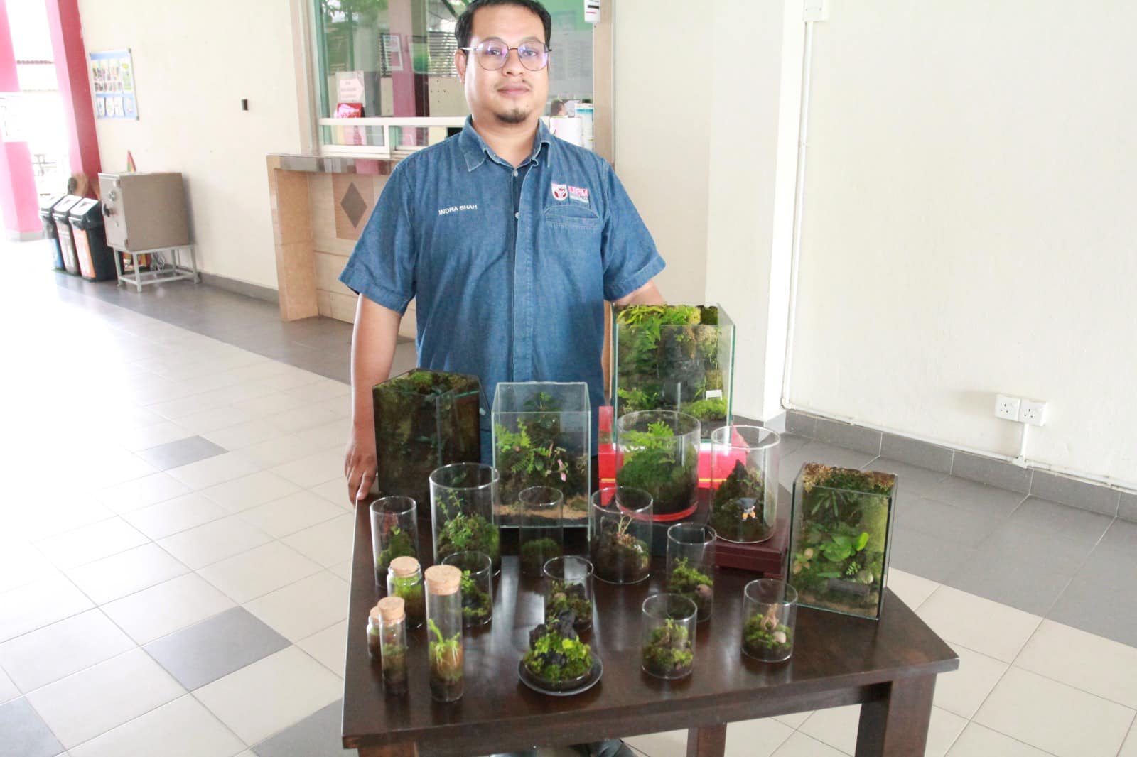  terrarium