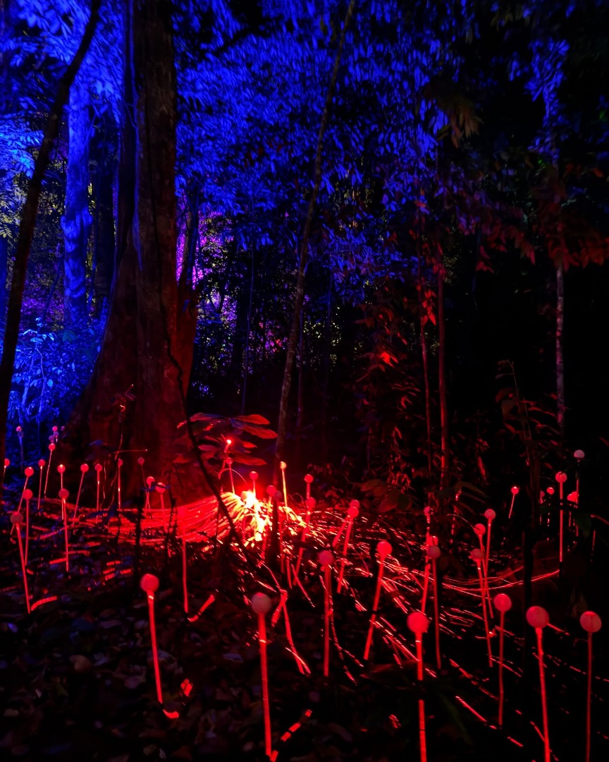 Dream Forest Langkawi