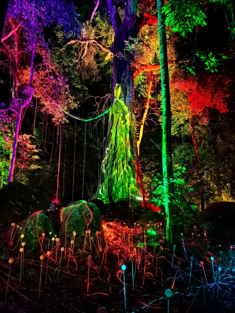 Dream Forest Langkawi