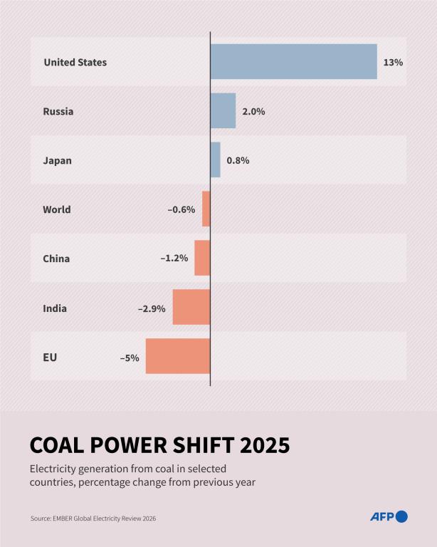 Coal