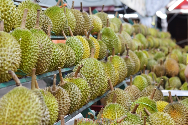 durian