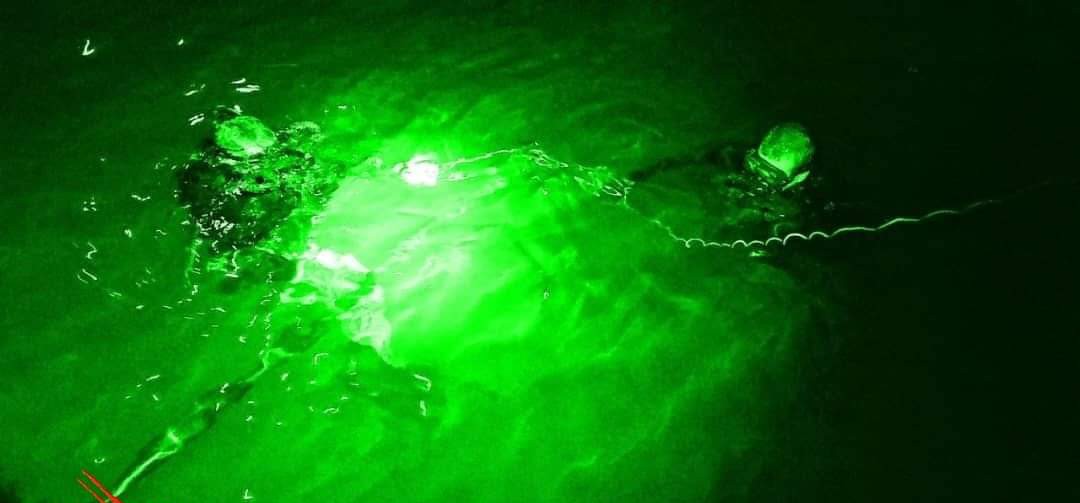 Kolam