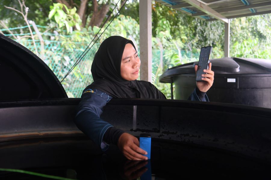 upm