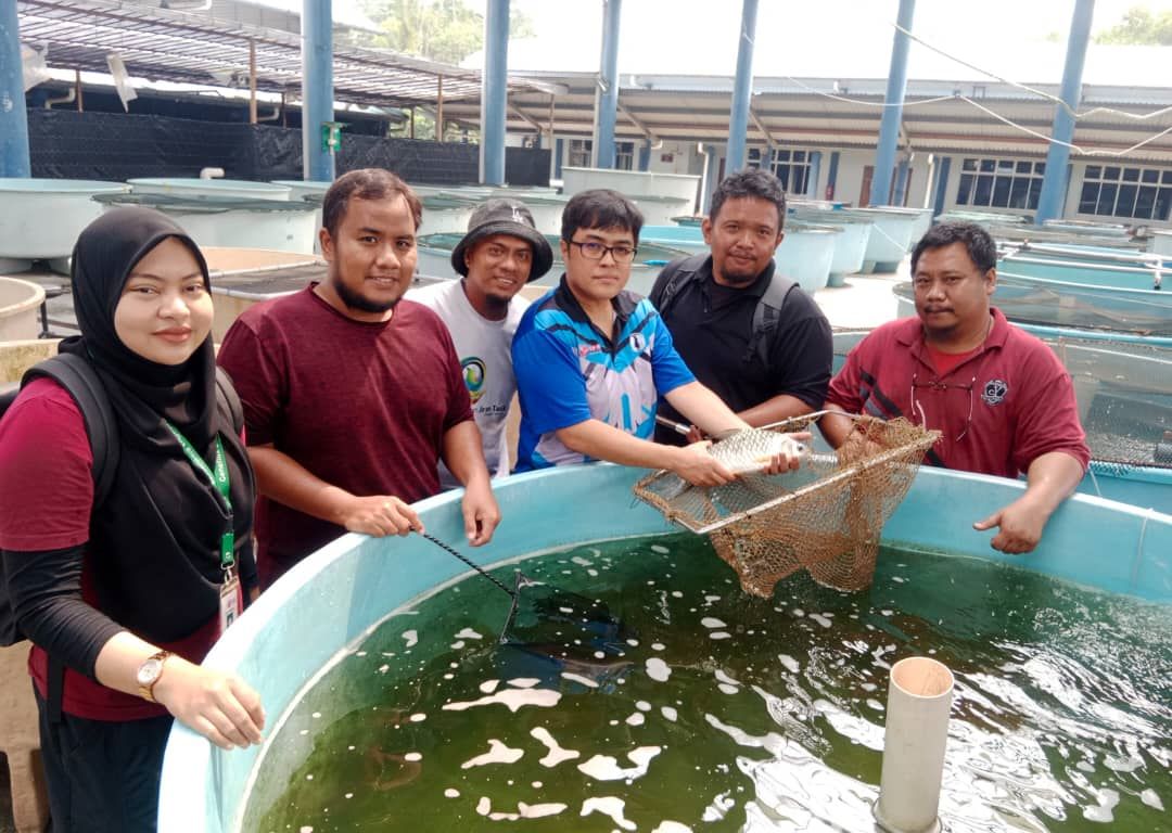ikan