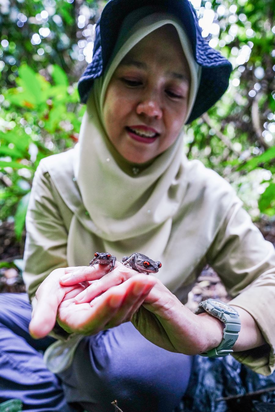 upm