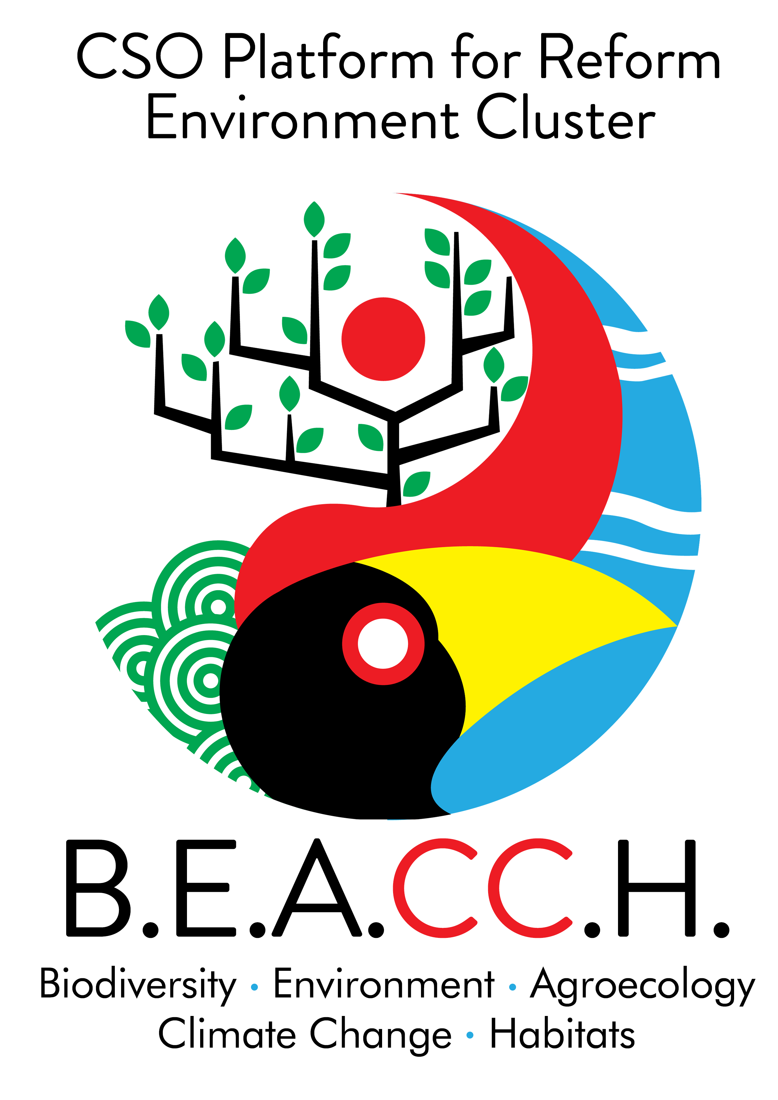 beacch
