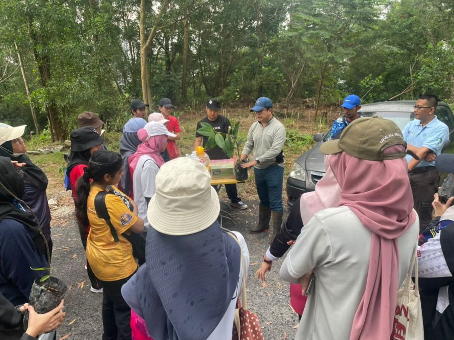 upm