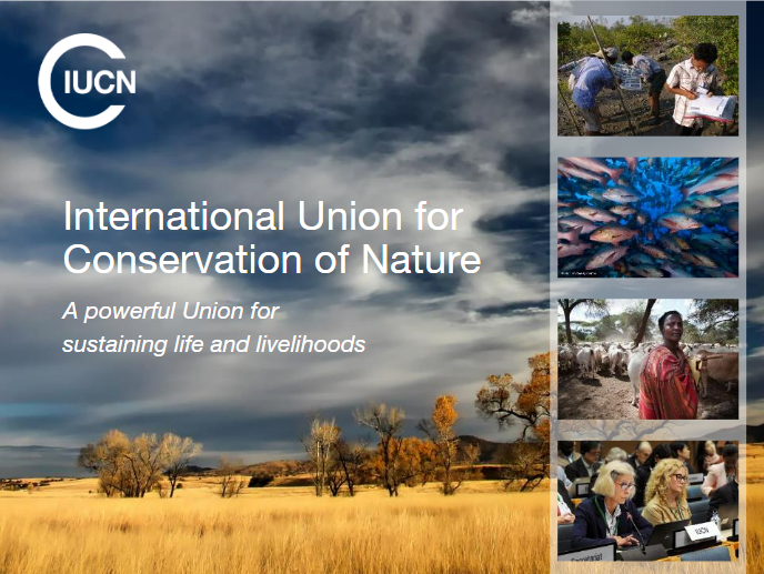 International Union for Conservation of Nature