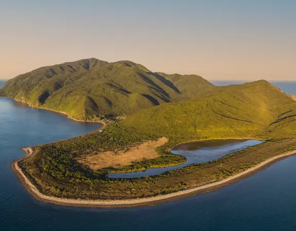 kapiti