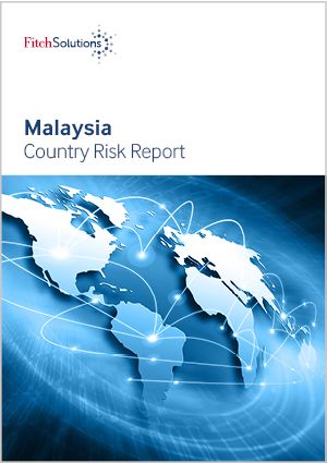 Fitch Solutions Country Risk and Industry Research