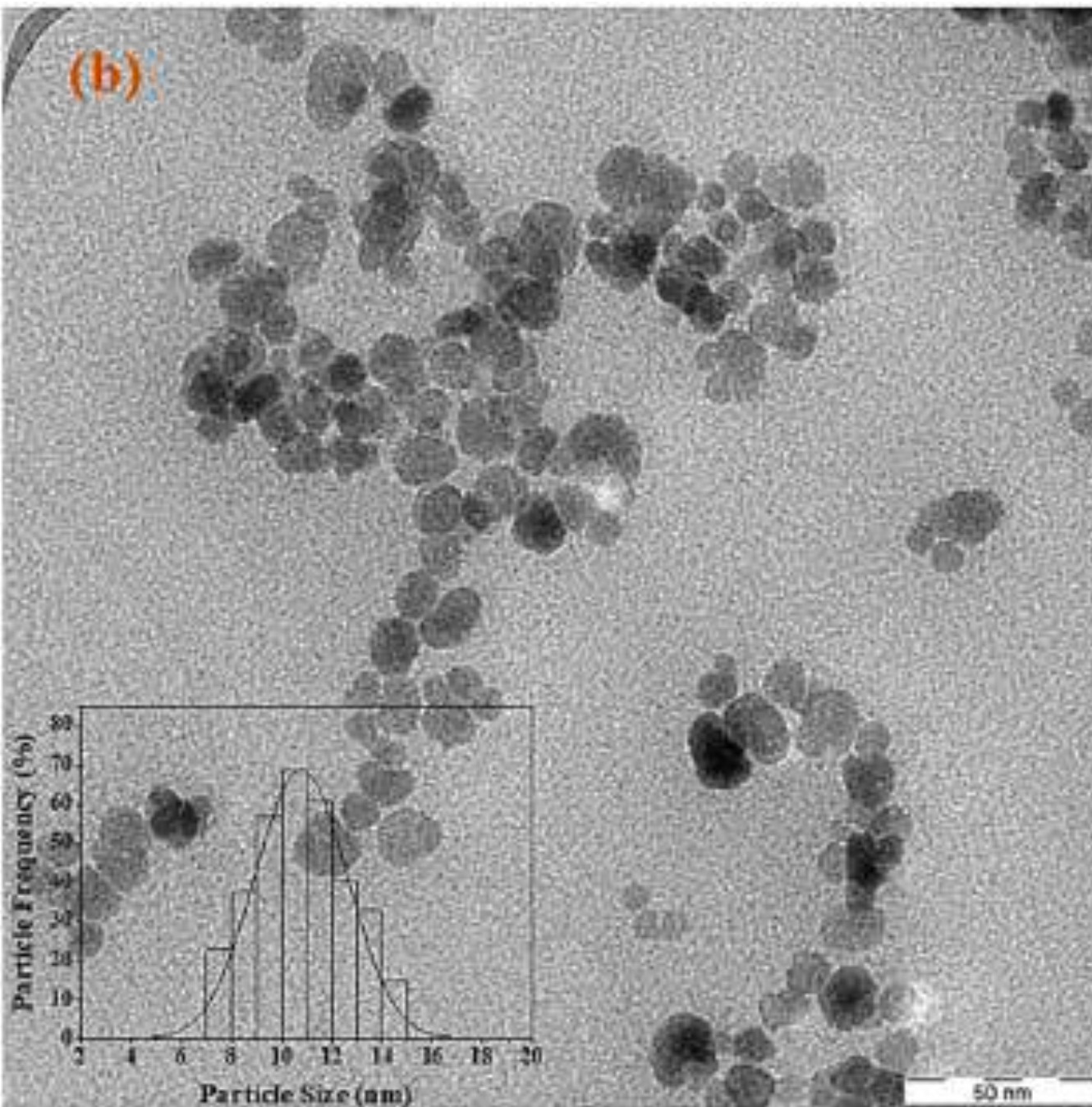 sumak