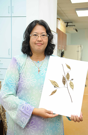 Prof. Dr. Rozi Mohamed