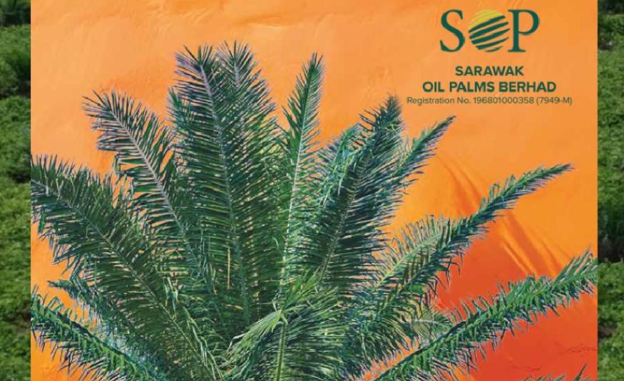 Sarawak Oil Palms_DagangNews