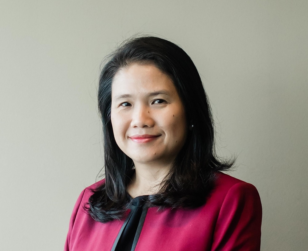 ninot aziz