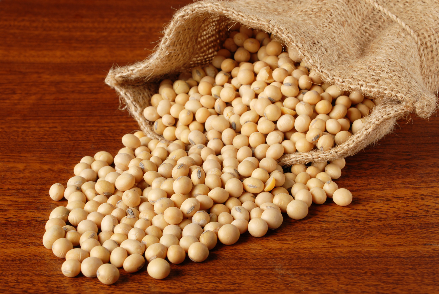 soya