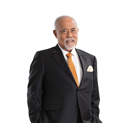 Tan Sri Megat Najmuddin Dato’ Seri Dr Haji Megat Khas