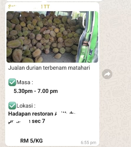 bt kurau