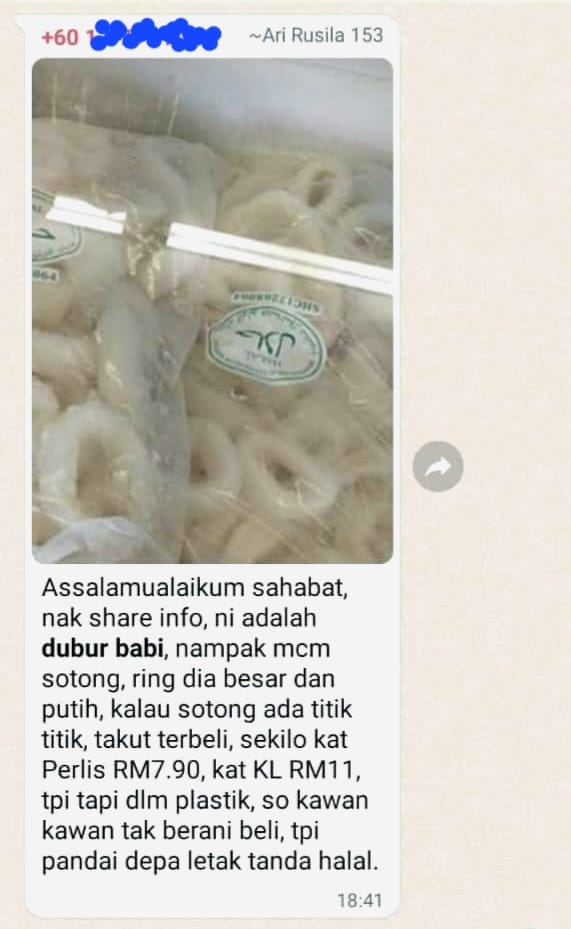 sotong