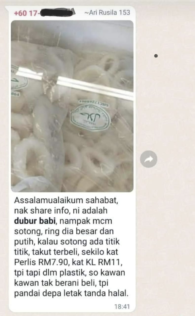 sotong