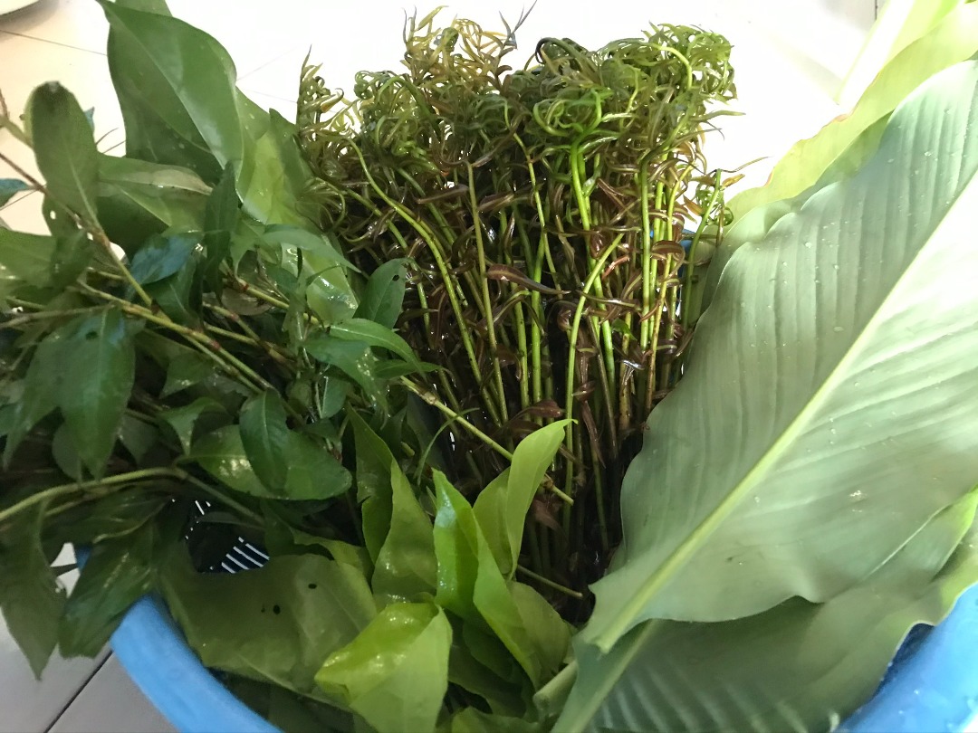bubur pedas