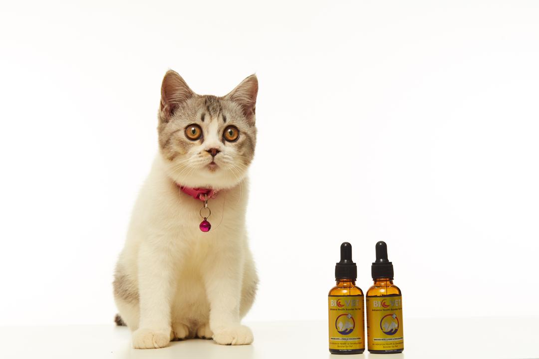 bio vet