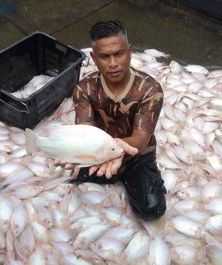 IKAN