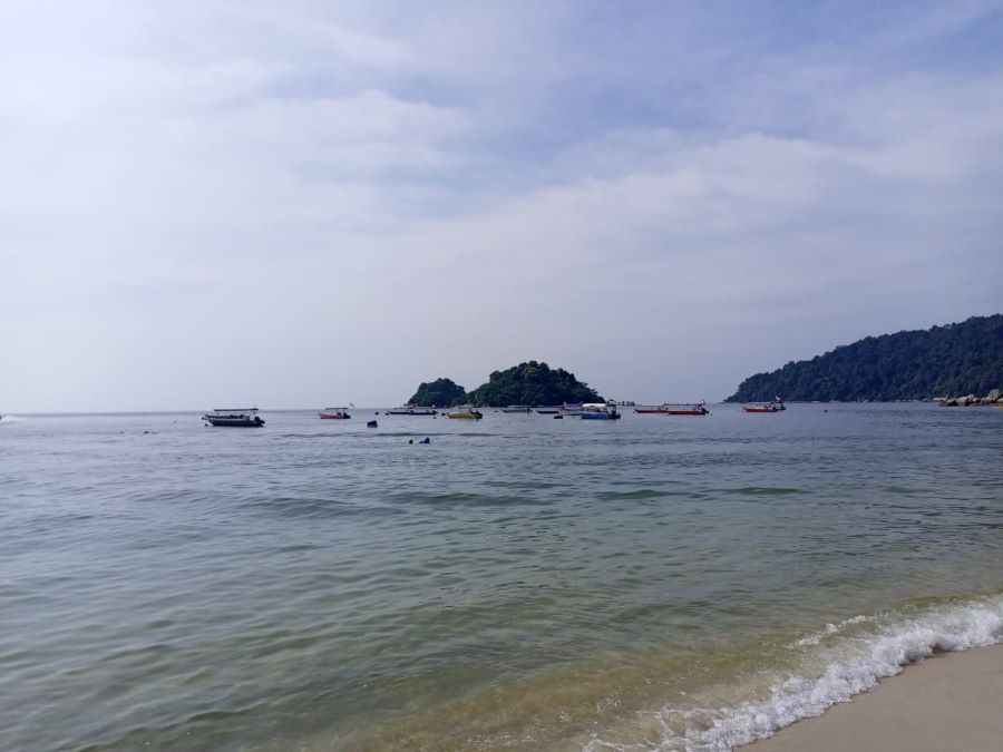 nipah