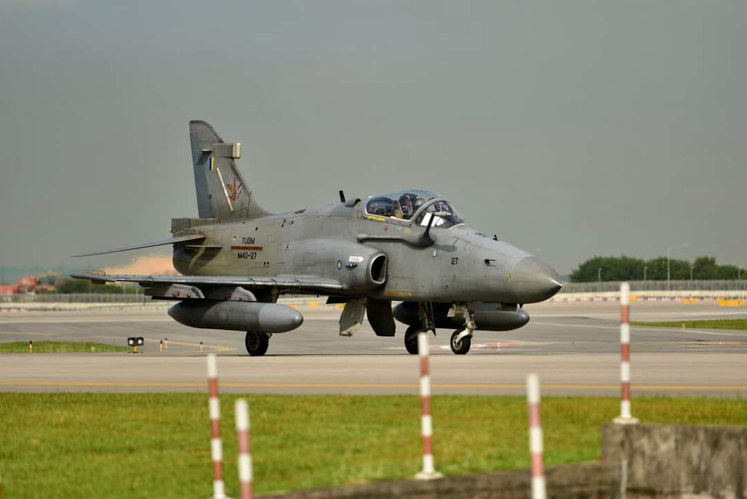 hawk