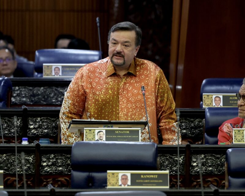 AMIR HAMZAH AZIZAN