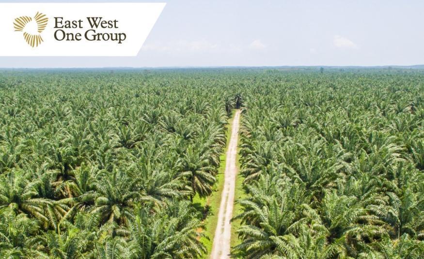 East West One Group_DagangNews2026
