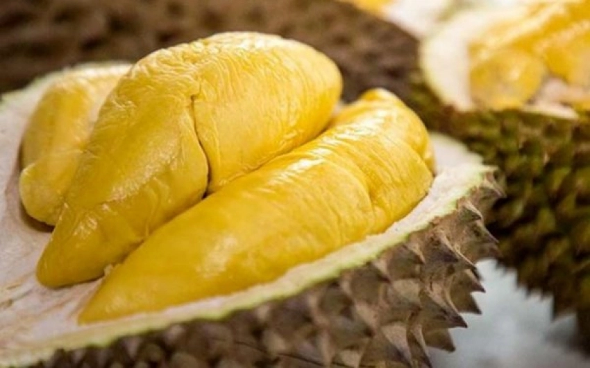 Musang King