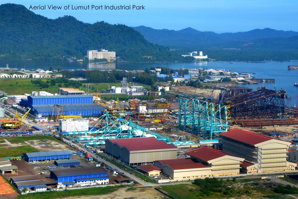 lumut