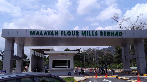 malayan flour