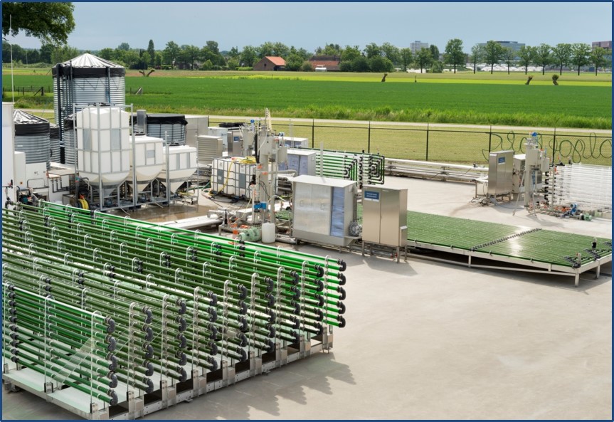microalgae farm
