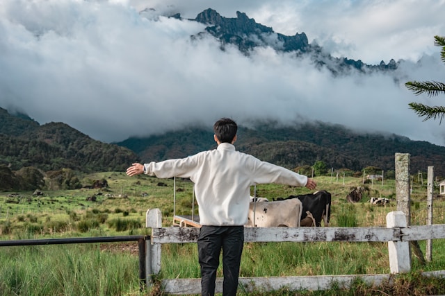 Kundasang