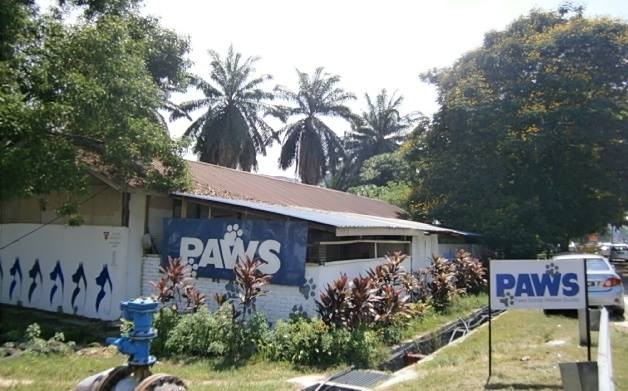 PAWS