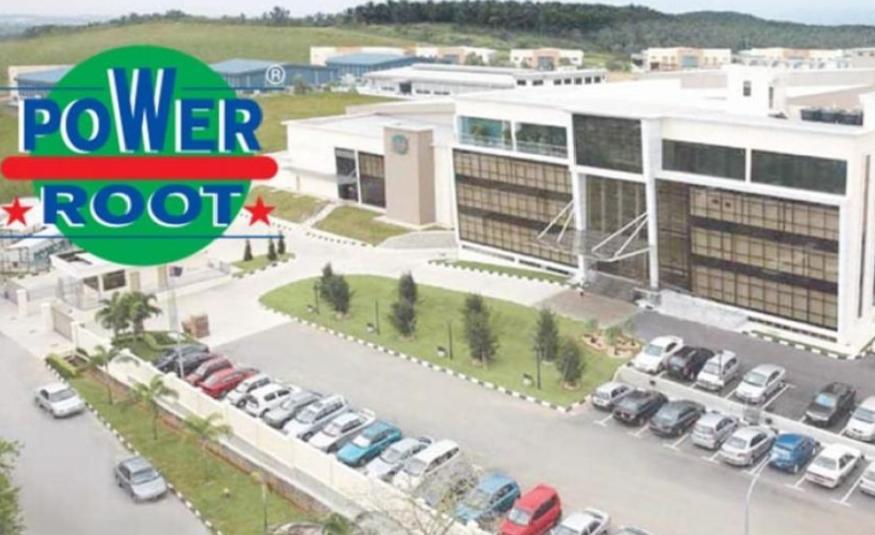 Power Root_DagangNews2026