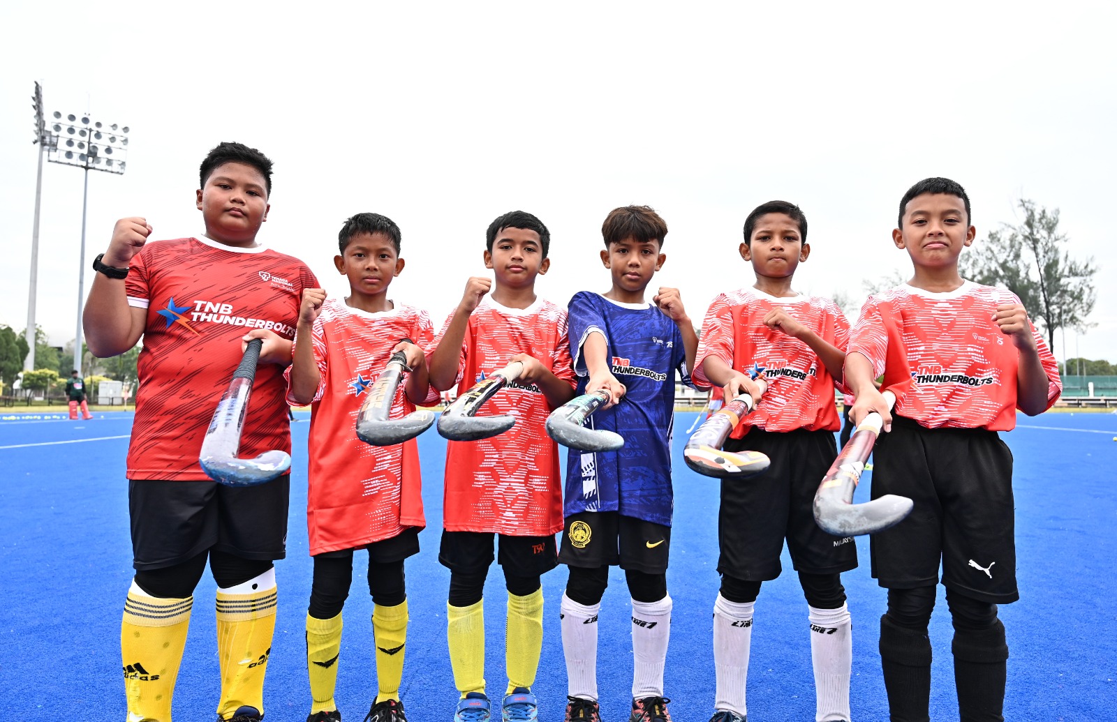Program hoki kebangsaaan