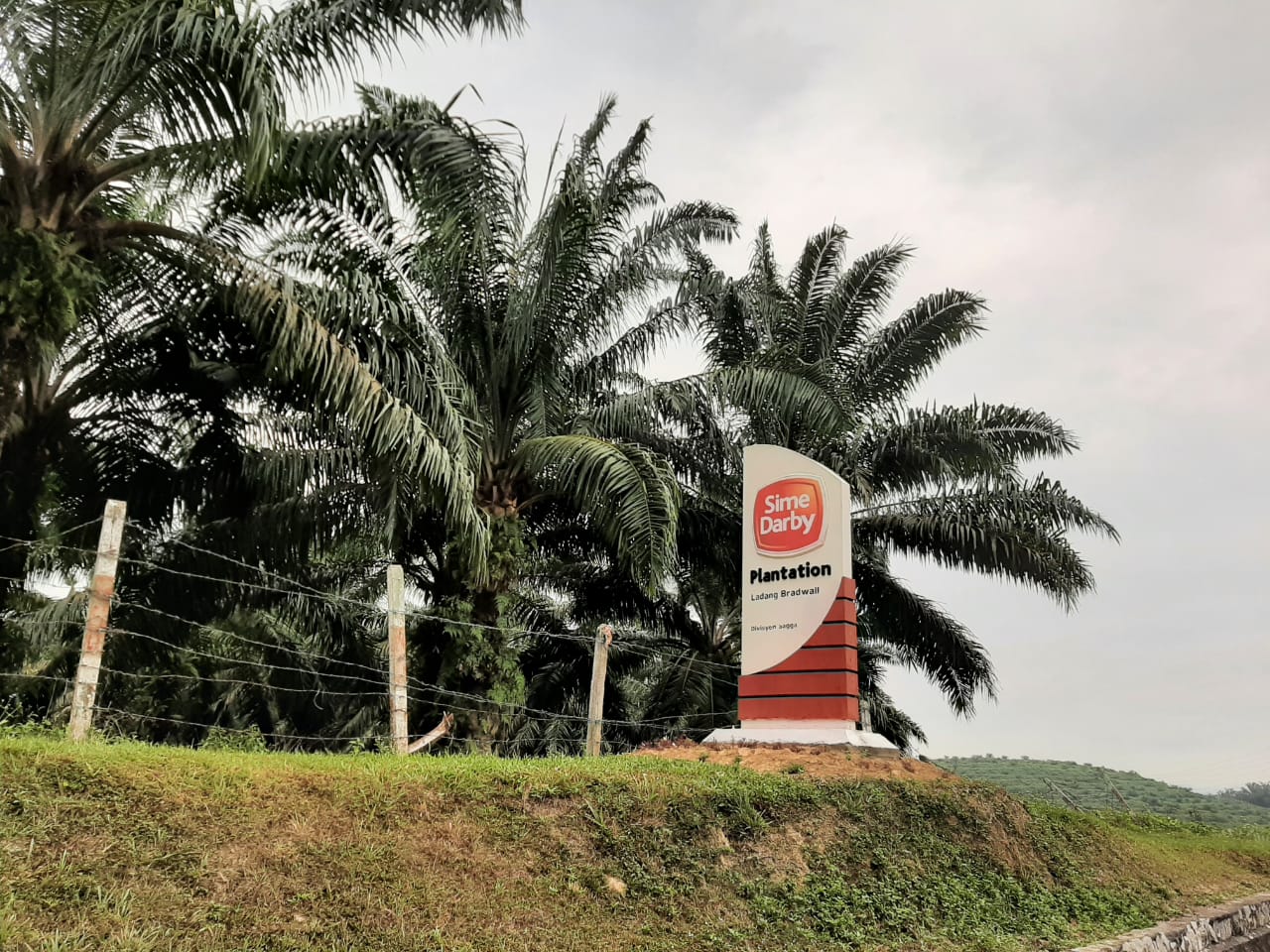 sime darby