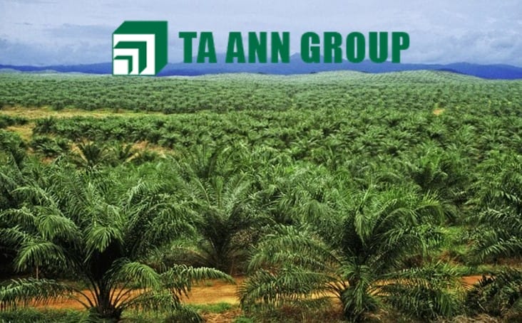Ta Ann_DagangNews2026