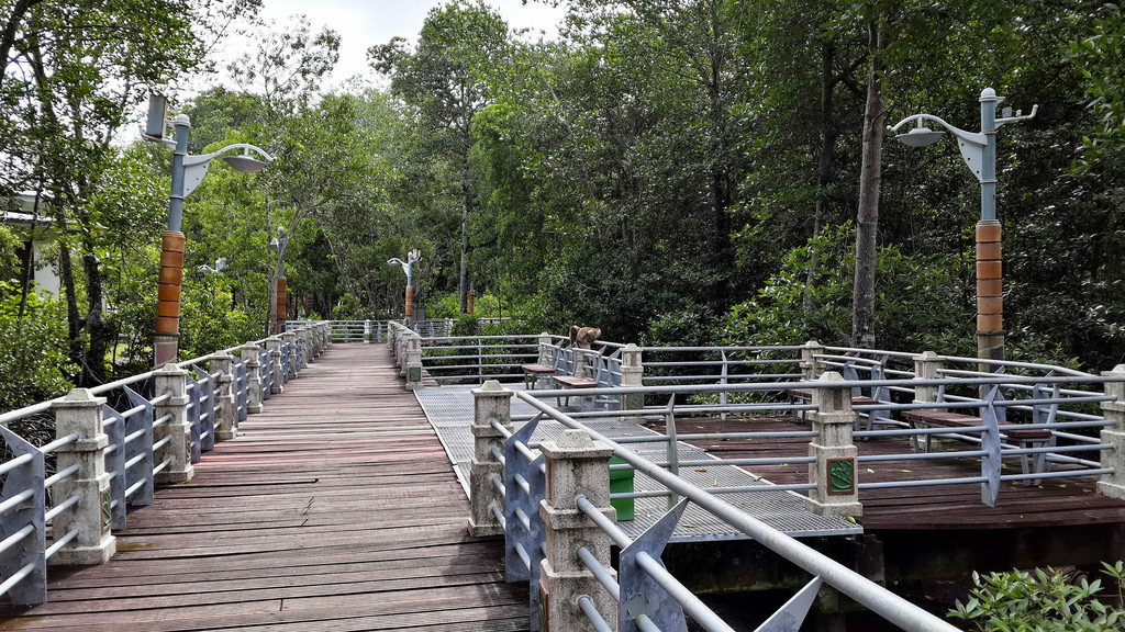 Taman