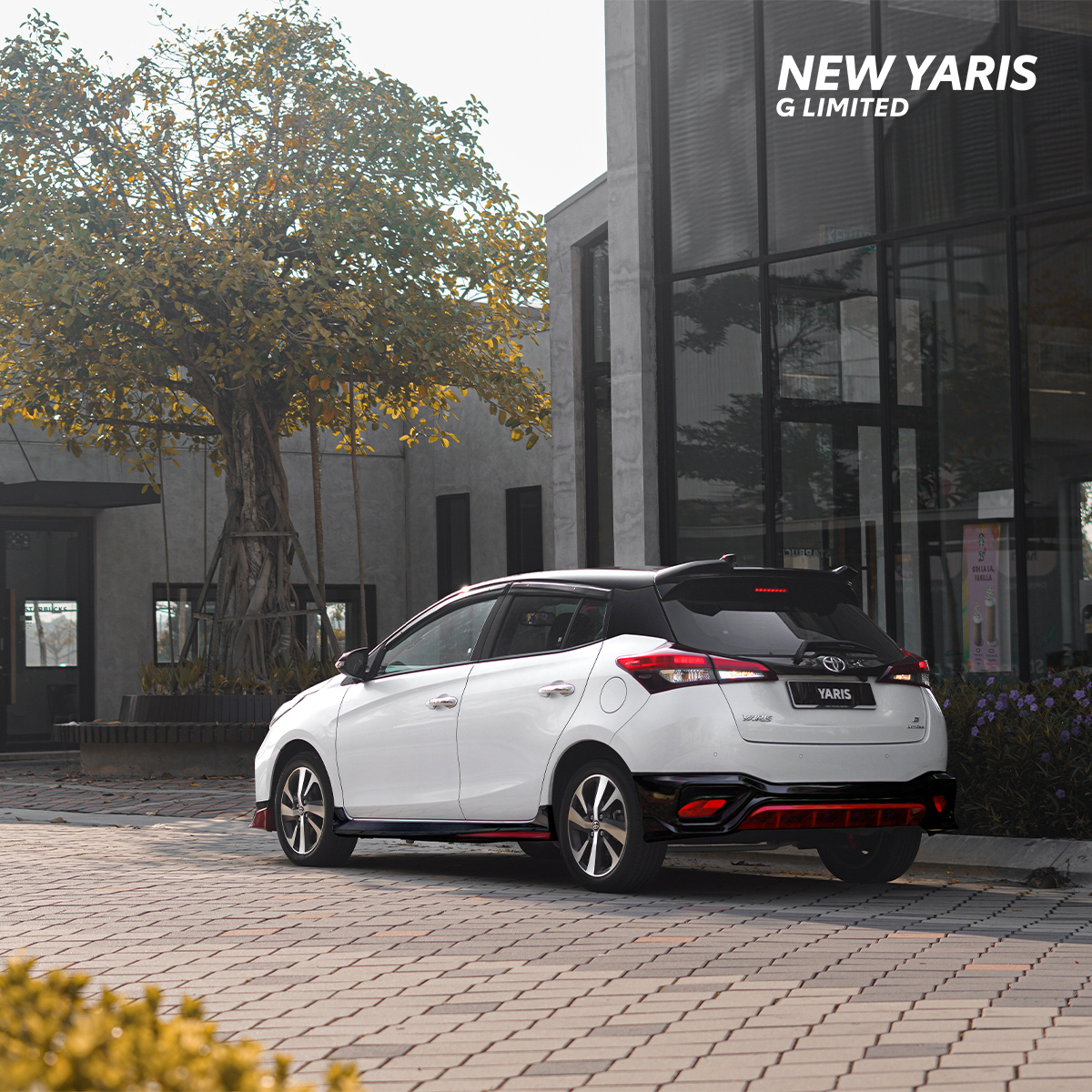yaris